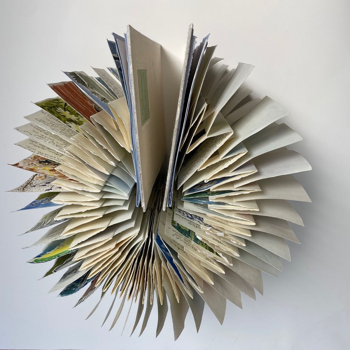 The same fan-bound book seen from directly above, its pages radiating into a rosette. Cream deckled edges dominate; glimpses of painted colour and handwriting show between the leaves.