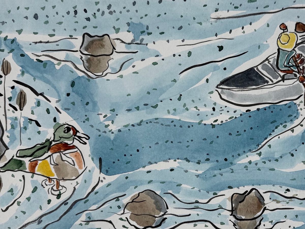 Ink and watercolour. A wood duck rests at the left edge of pale blue water flecked with green; two figures paddle a canoe at the upper right. Rounded stones break the surface, each with a soft reflection.