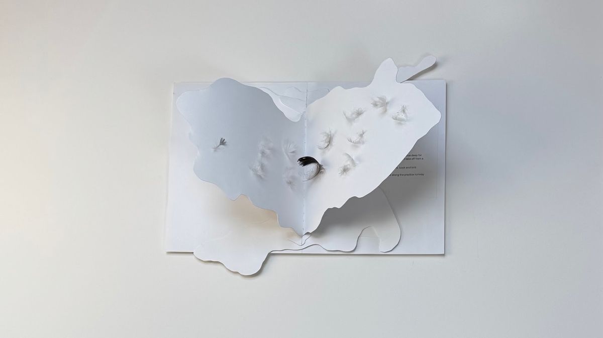 An open white pop-up book seen from above. A cloud-shaped landform rises from the centre fold, its surface dotted with small white tufts like seed heads caught mid-flight. Faint printed lines run down the right-hand page.