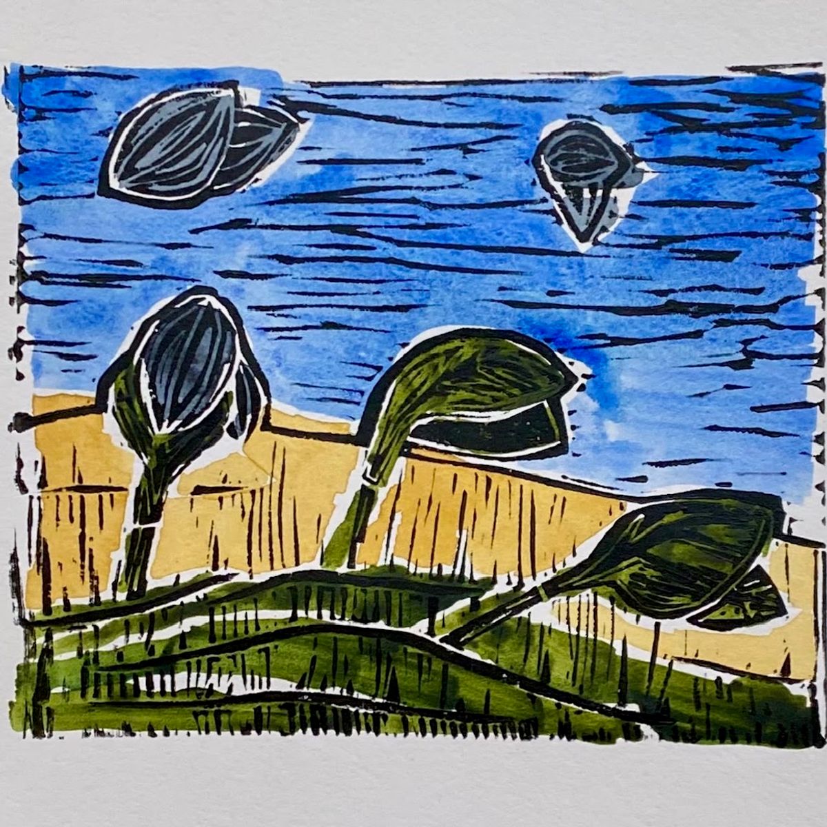 A hand-coloured linocut. Split milkweed pods on curving stems stand against a deep blue sky cut with horizontal marks, above a golden field and a dark green bank.