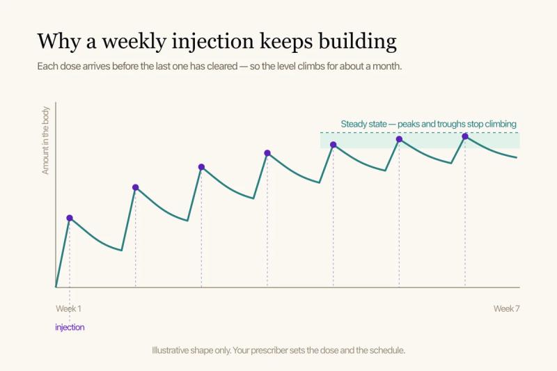 A diagram: a sawtooth curve rising over six weekly injections before levelling off at steady state.
