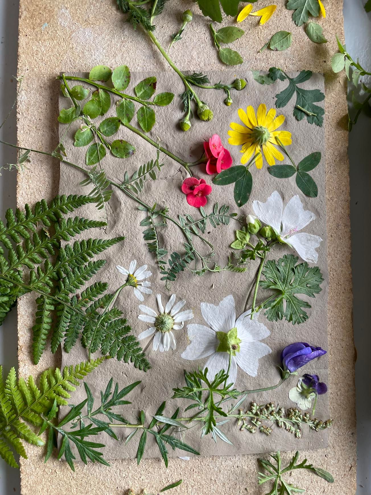 Pressa in blommor i lera