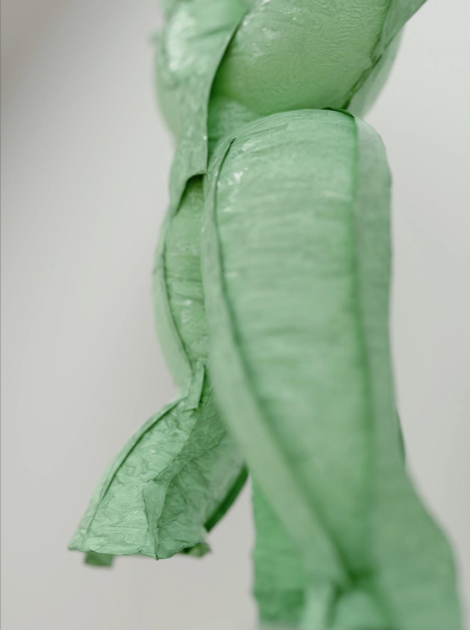 Chromosome IV