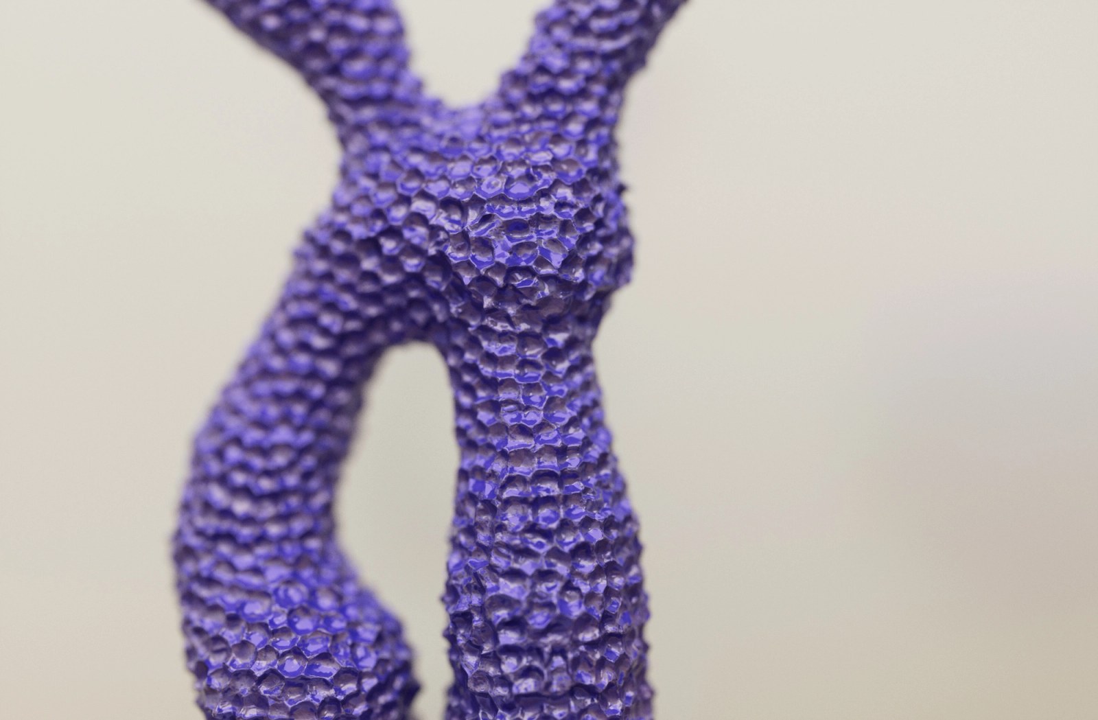 Chromosome I