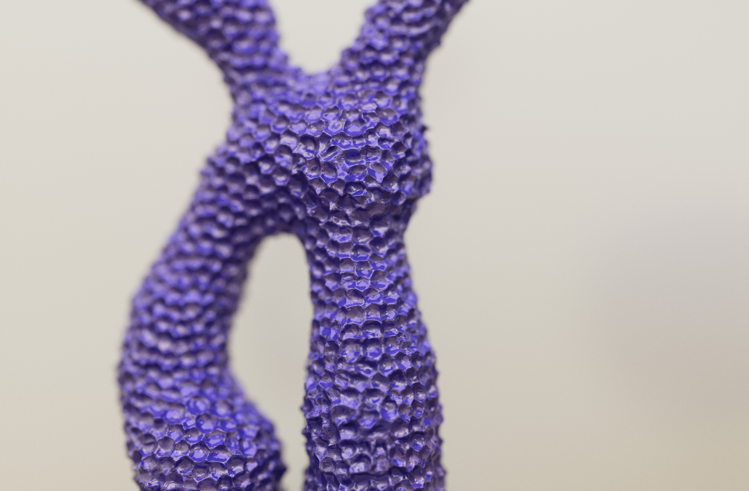 Chromosome I