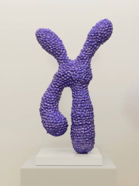 Chromosome I