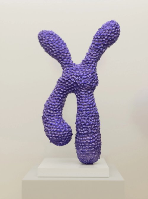 Chromosome I
