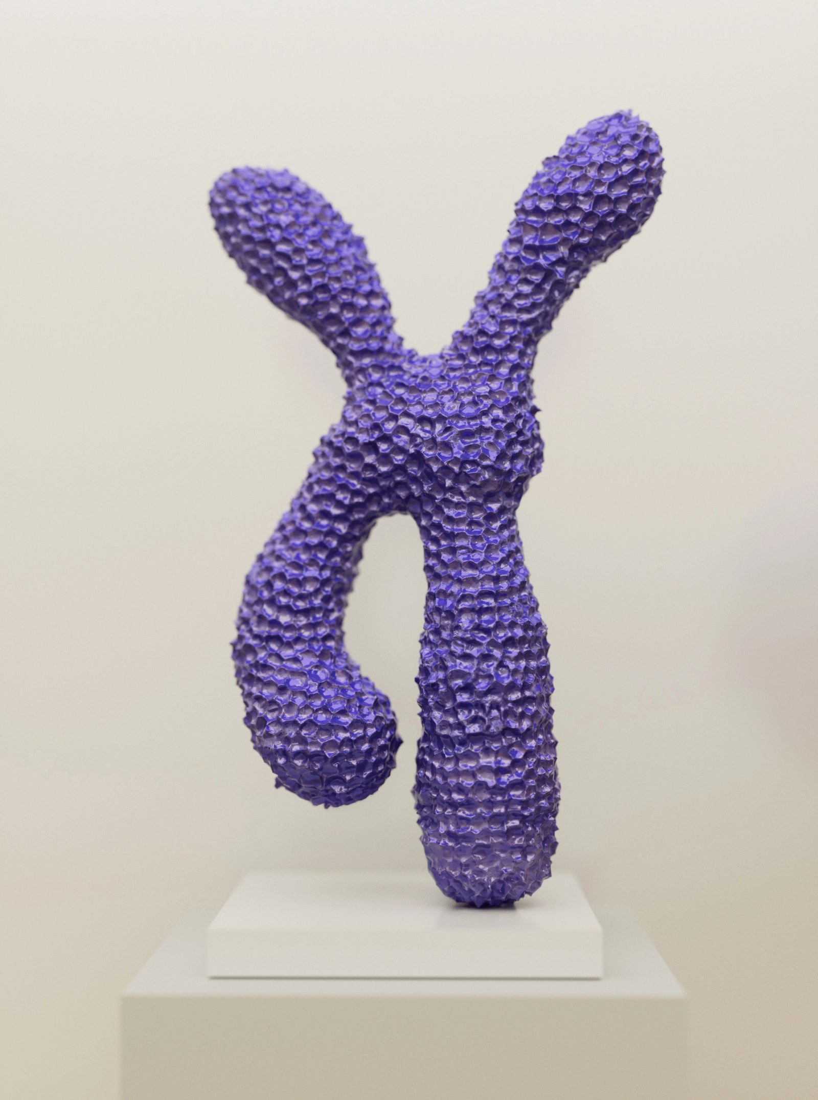 Chromosome I