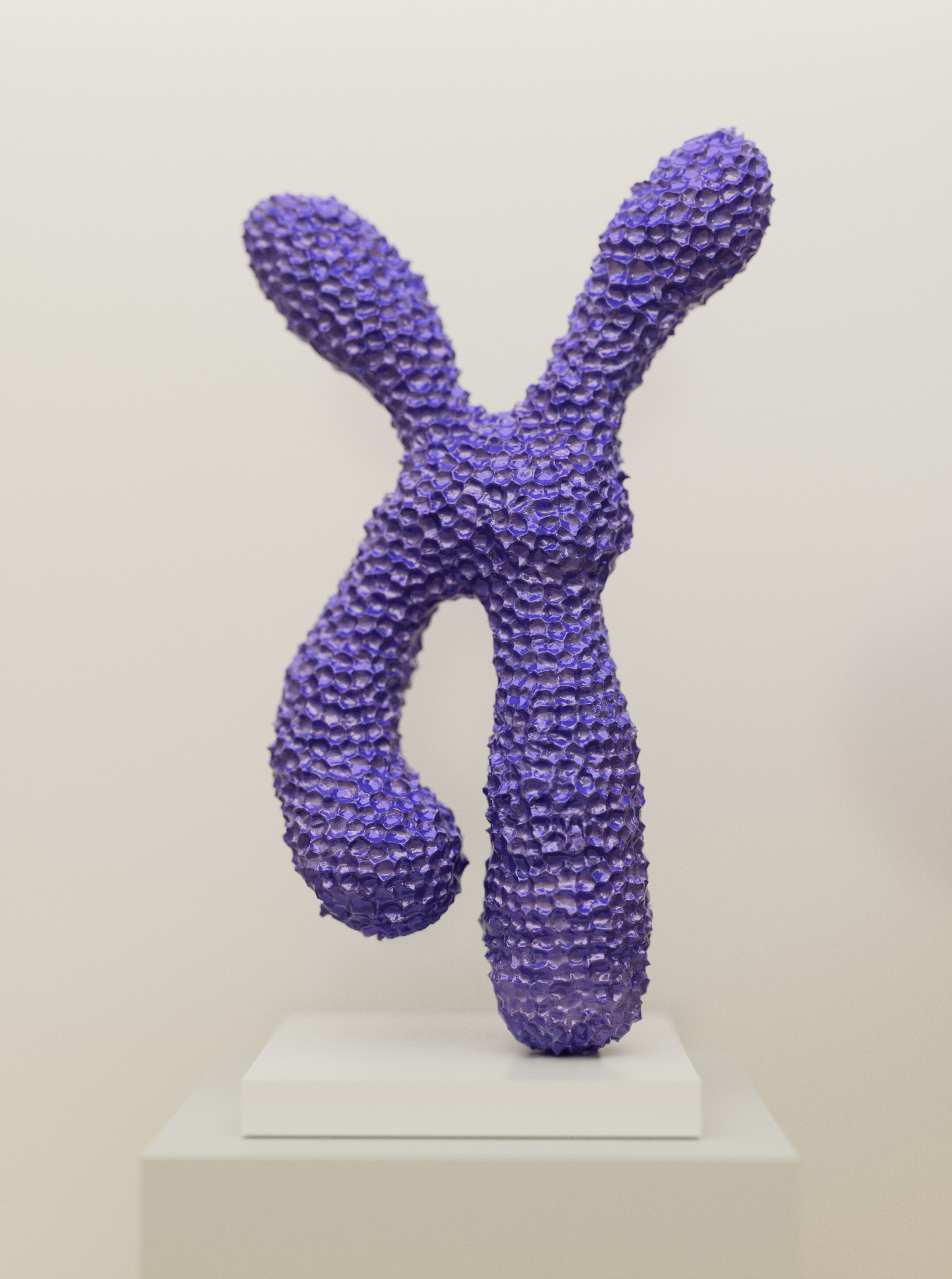 Chromosome I