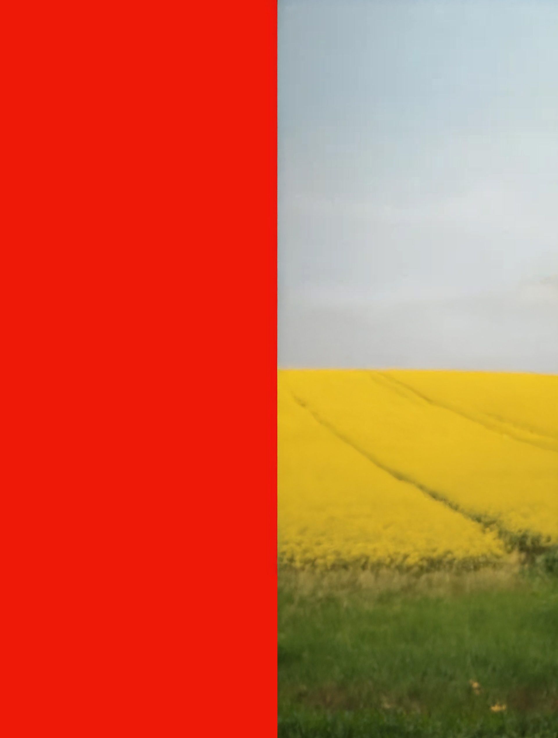 Bild & Abbild