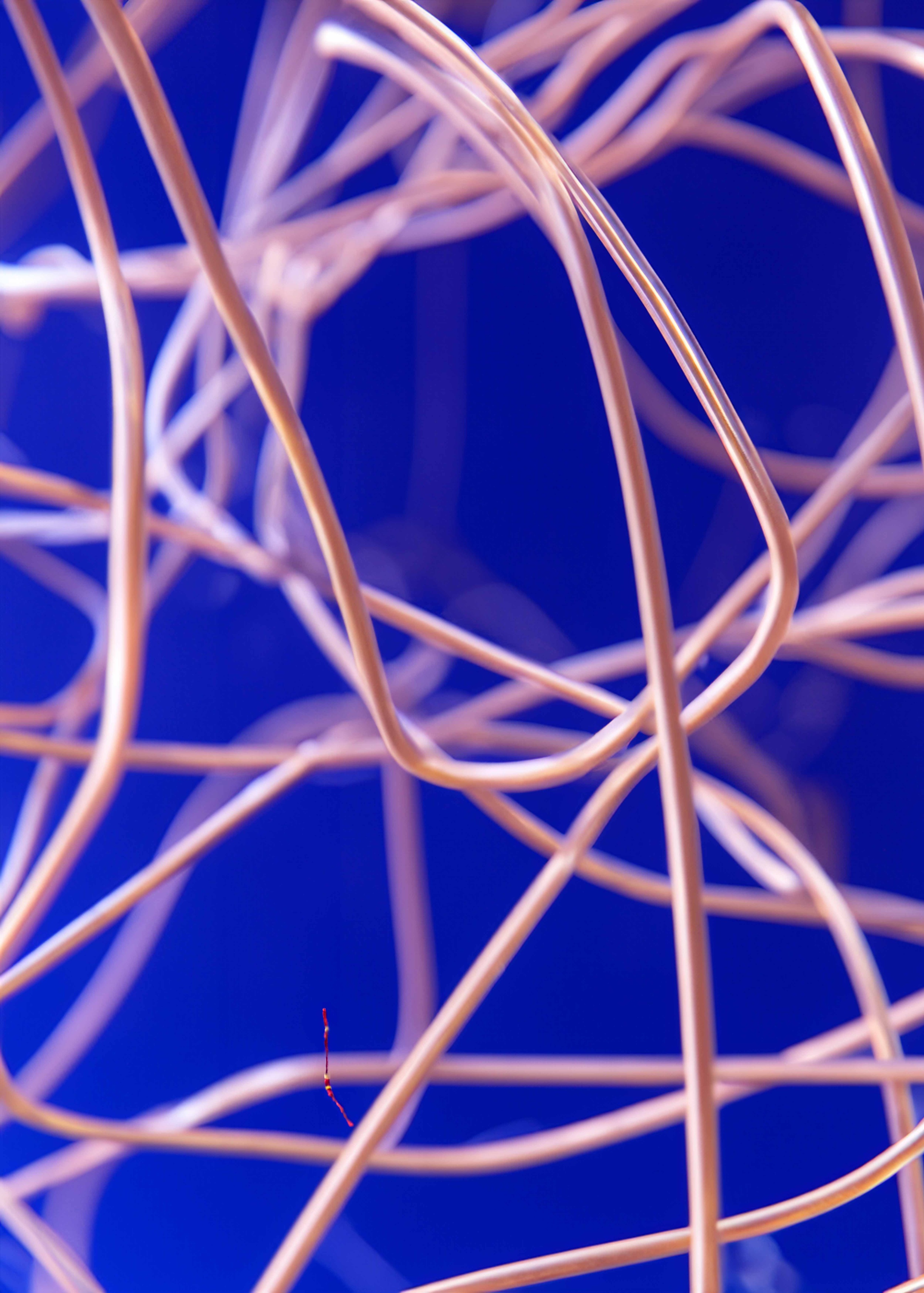 Wire I