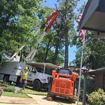 Pettibone Tree Service project — Tree Removal
