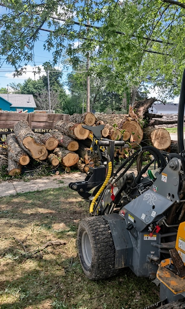 Pettibone Tree Service project — Stump Grinding