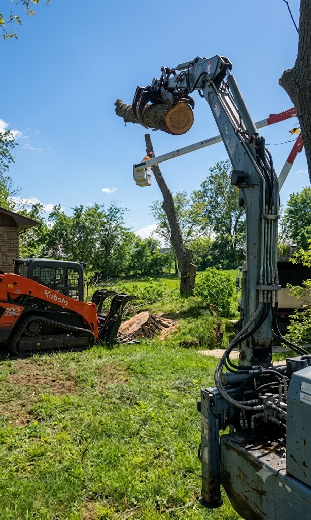 Pettibone Tree Service project — Tree Trimming