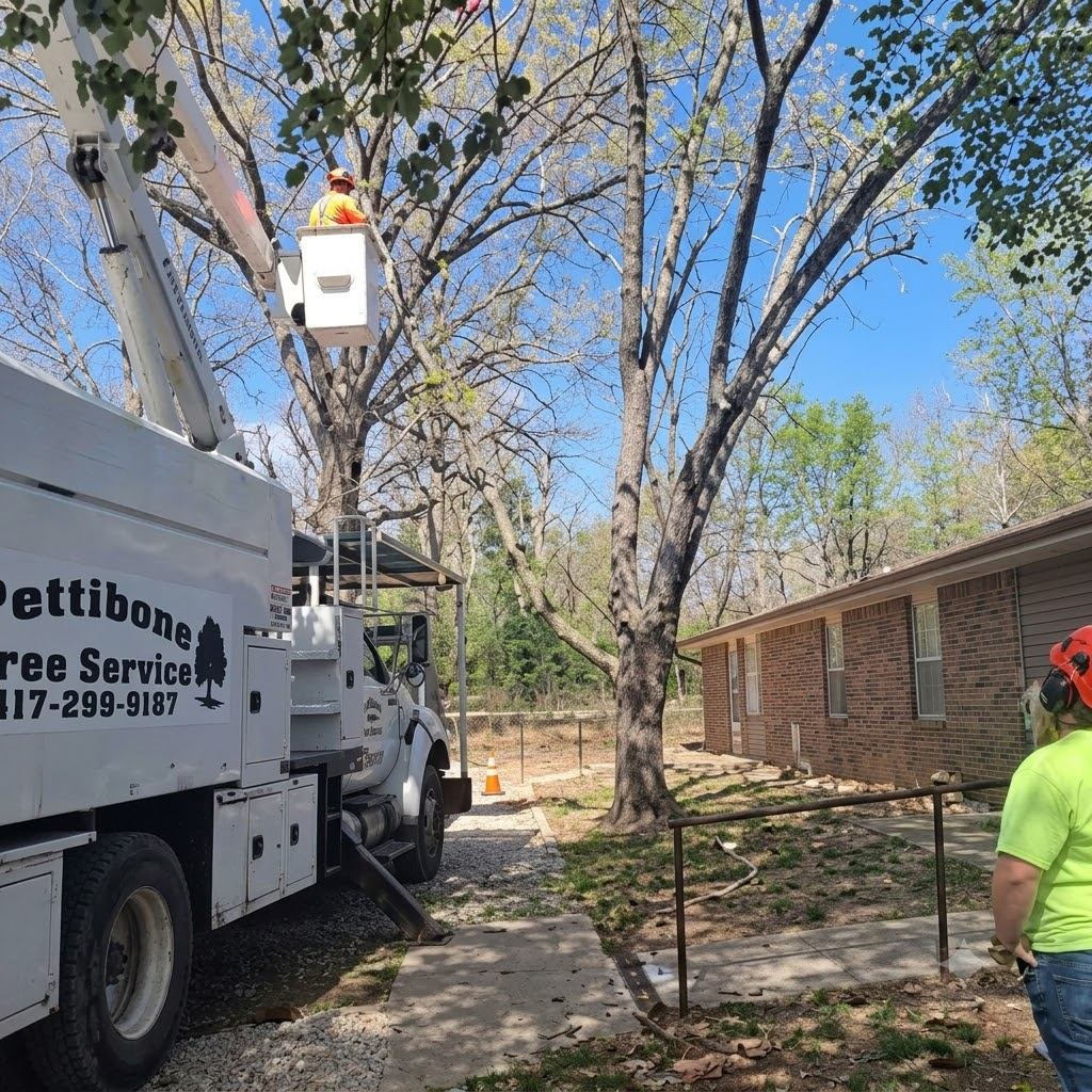 Pettibone Tree Service project — Storm Cleanup