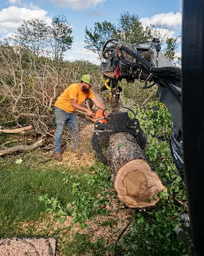 Pettibone Tree Service project — Storm Cleanup