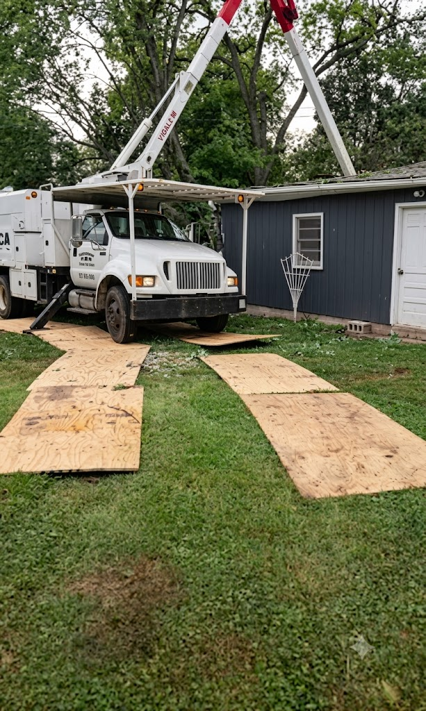 Pettibone Tree Service project — Tree Trimming