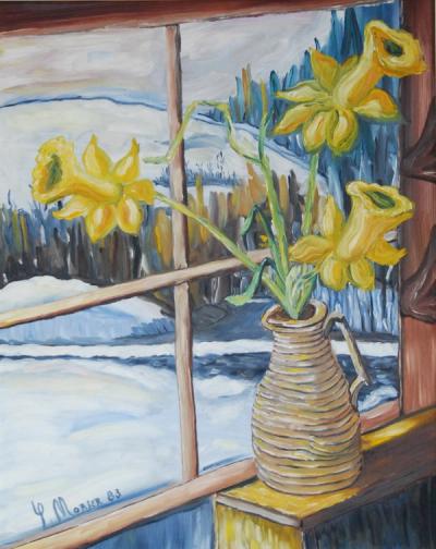 Daffodils and Coil
