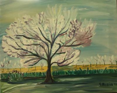 Orchard in Mont-Saint-Hilaire