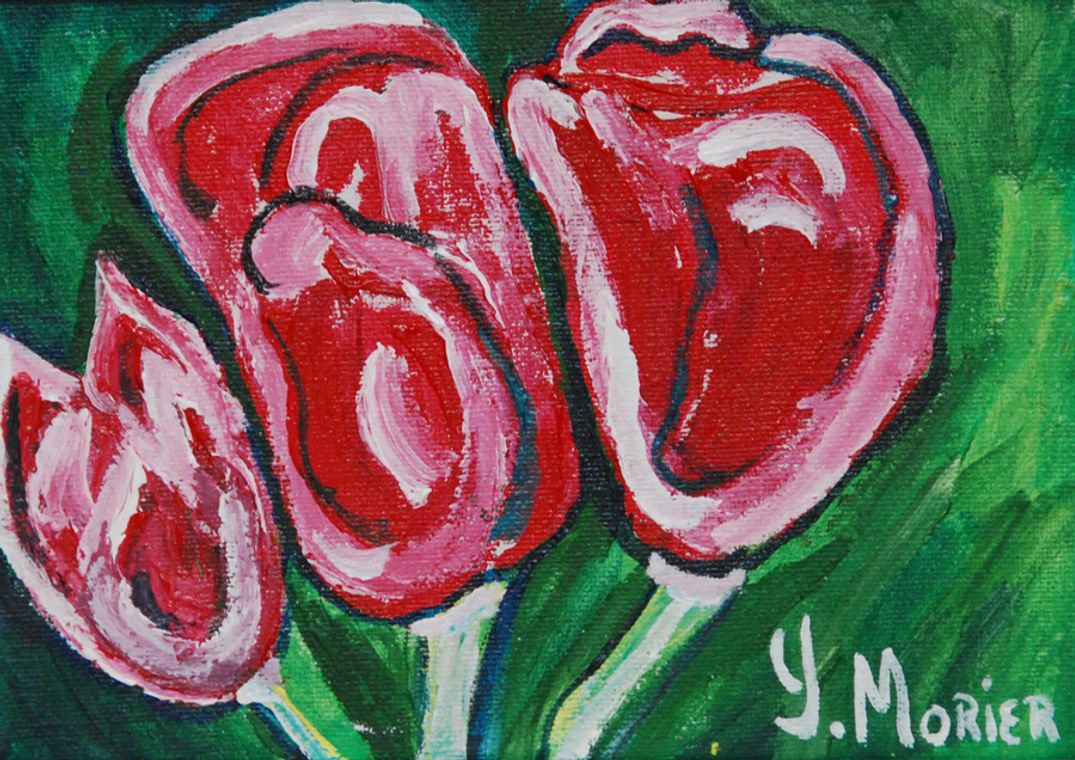 Tulip Festival