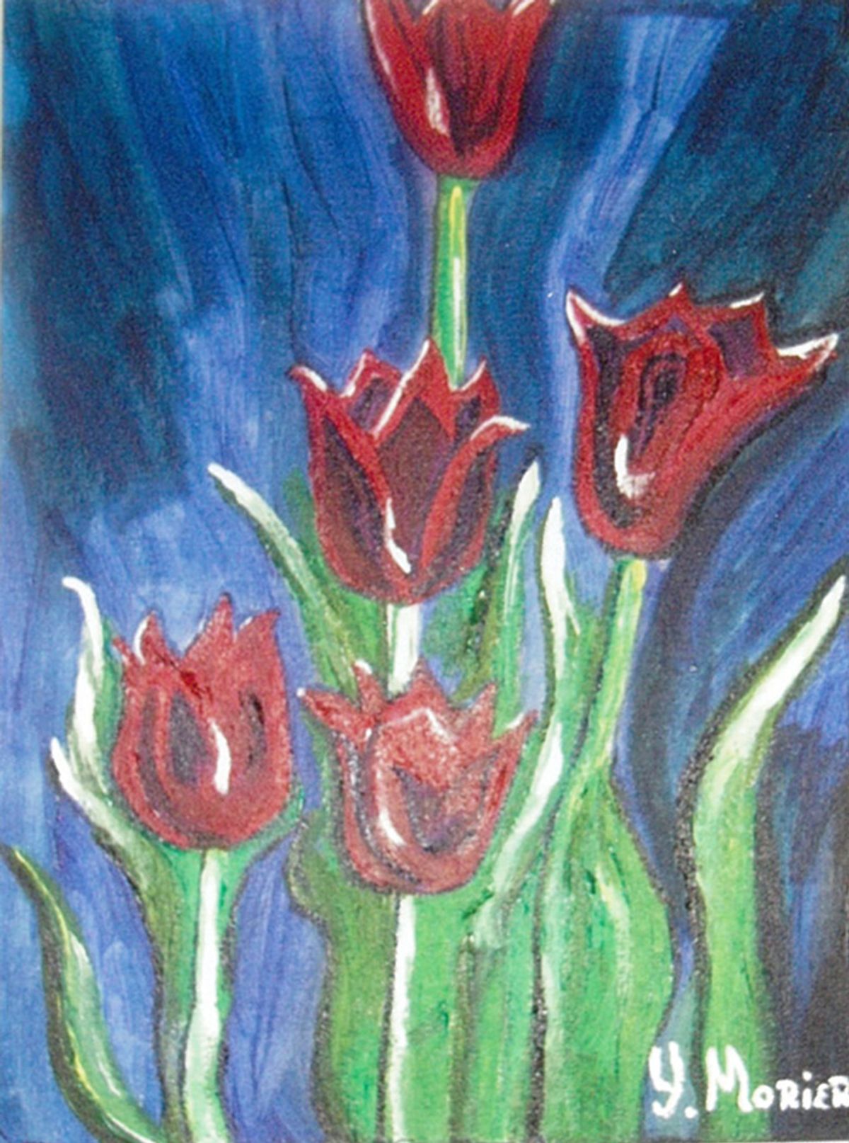 Tulip Festival