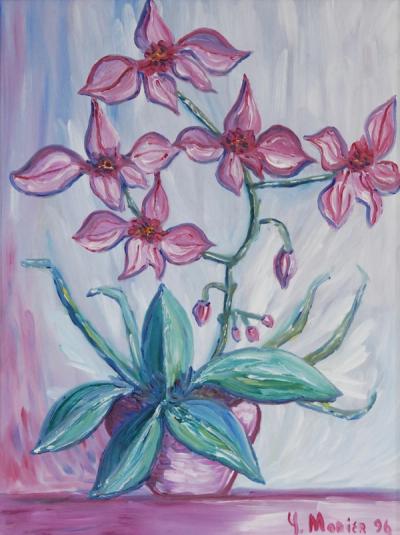 Orchid Plan