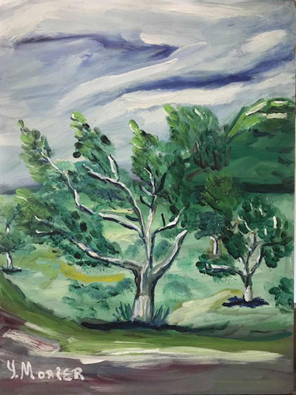 Apple Tree in Rougemont