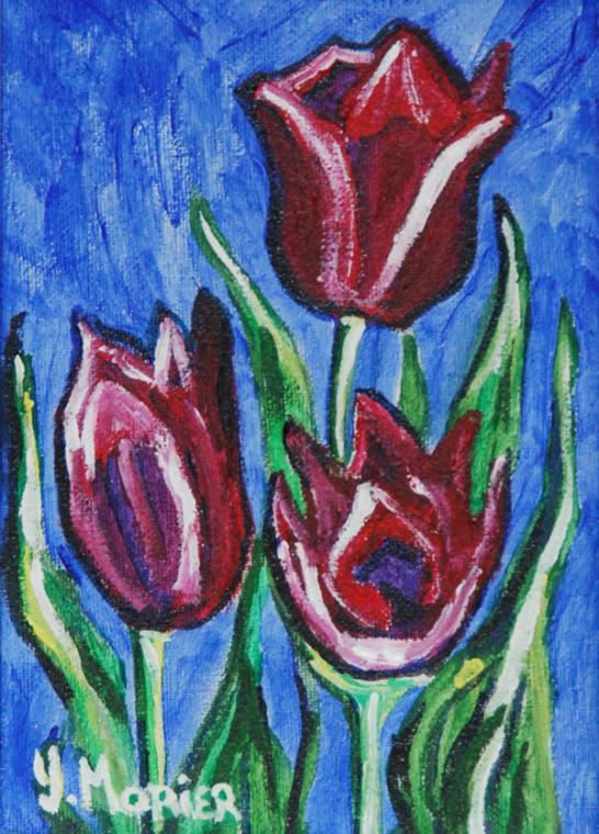 Tulip Festival