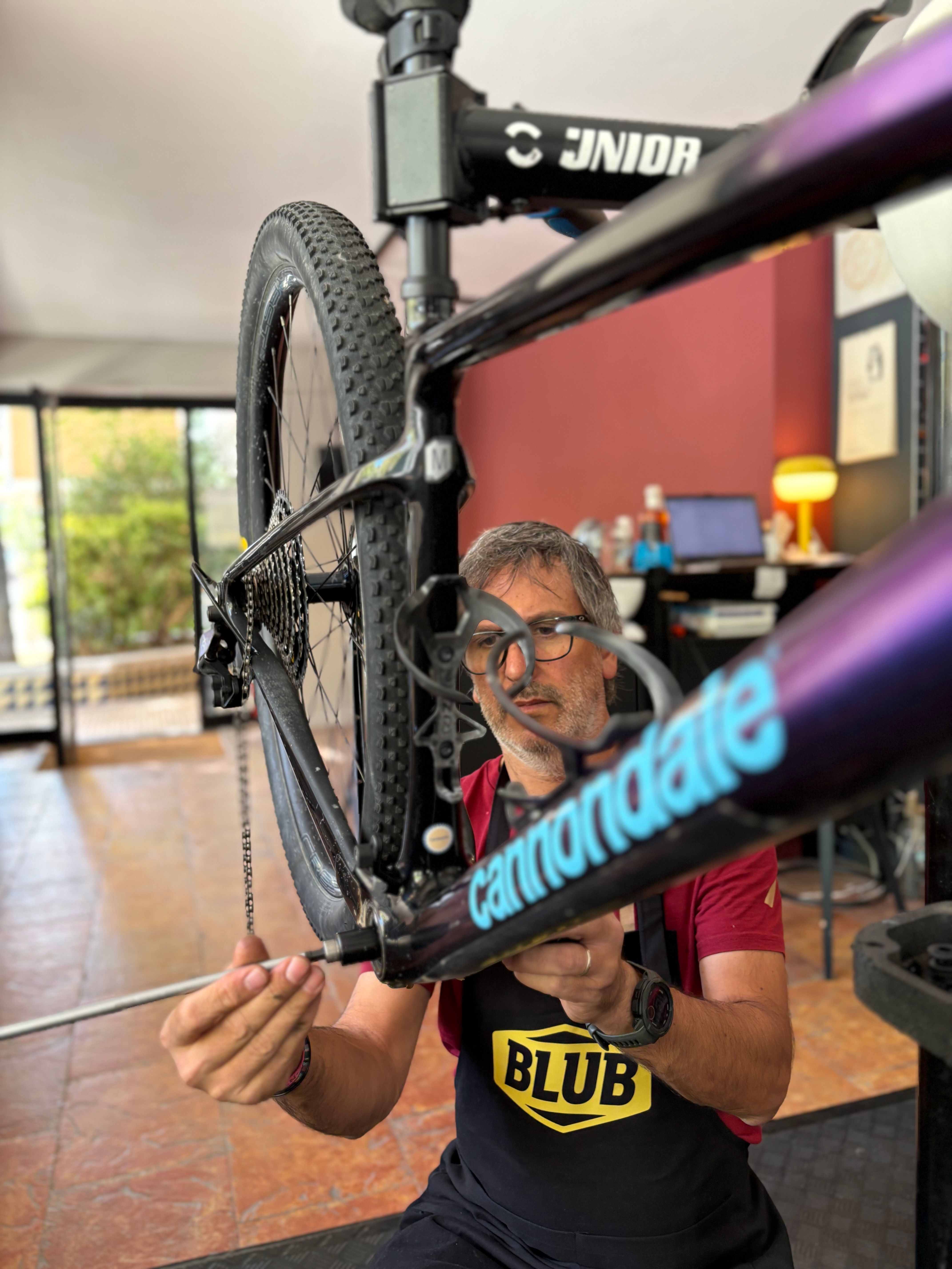 Cyclosim servicios