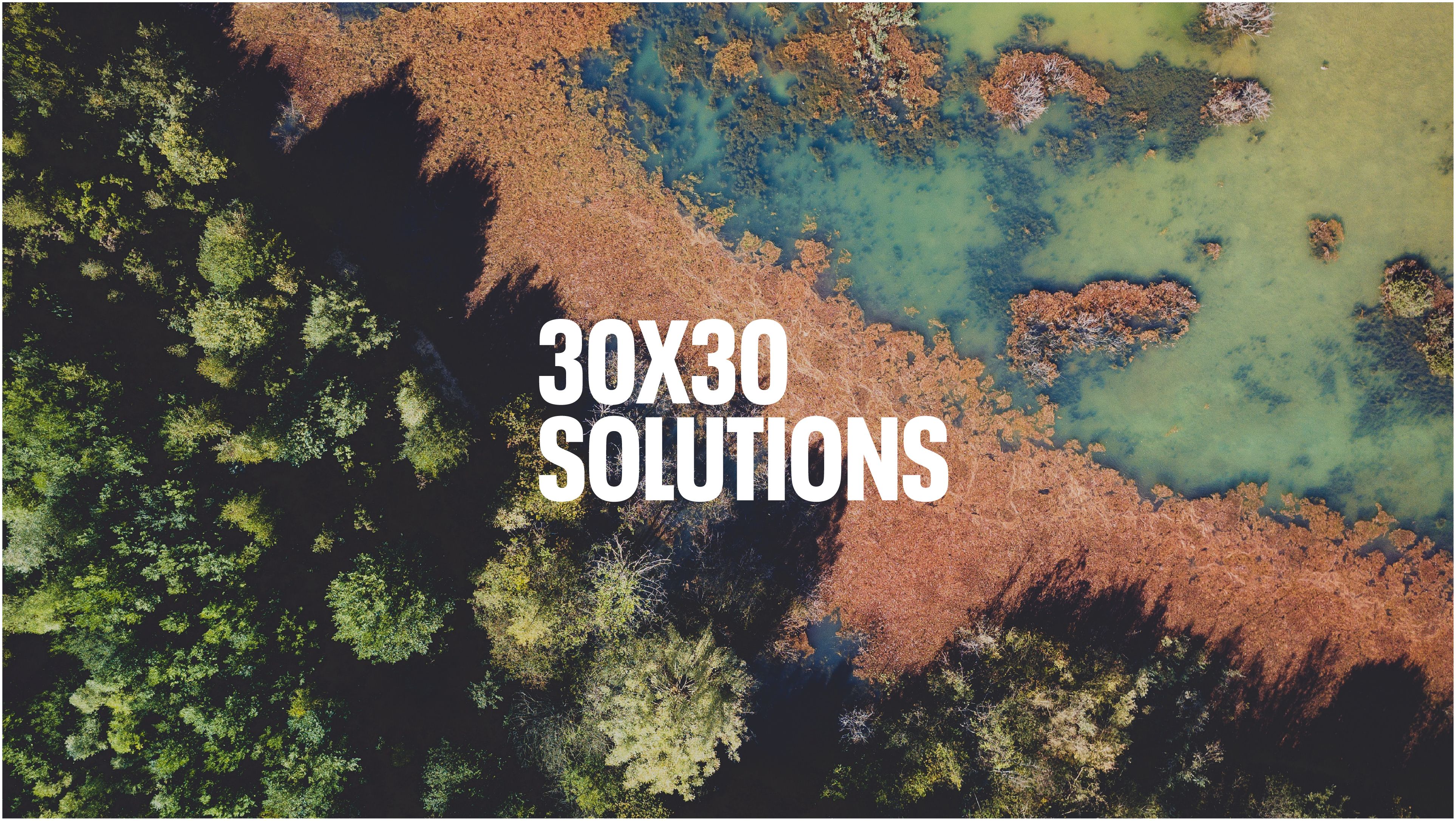 30X30 Solutions