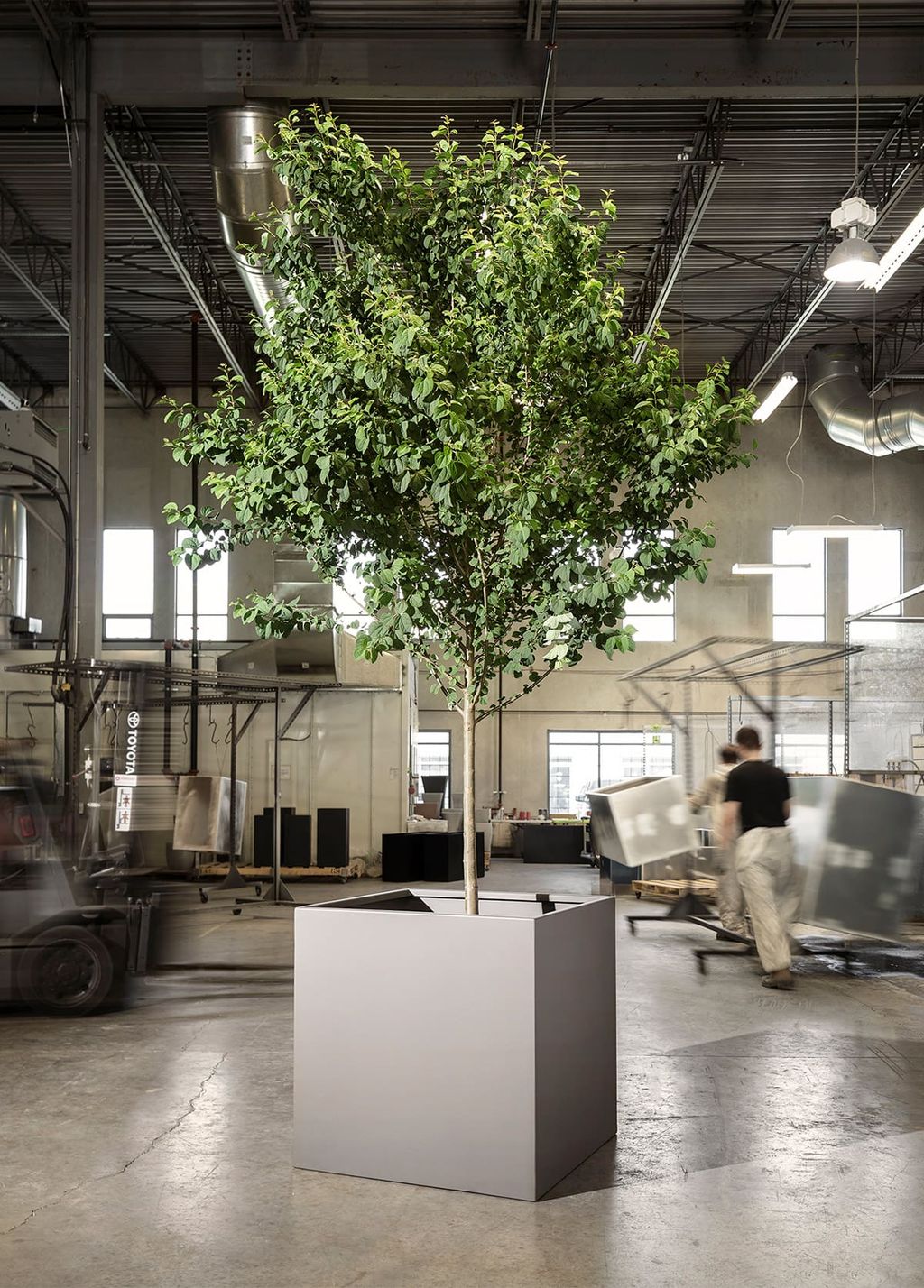 Sustainability Green Theory