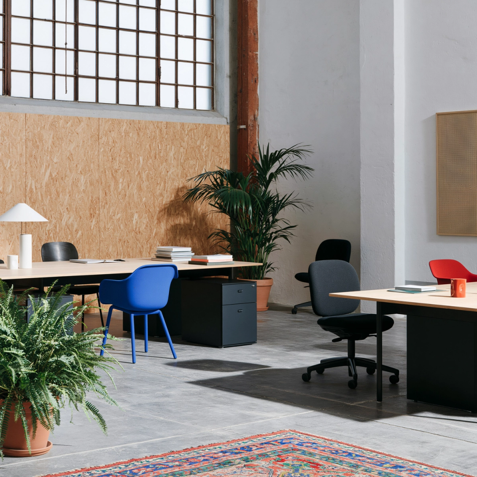 We provide 2D and 3D models