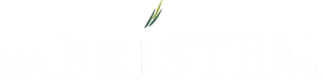 Meristem