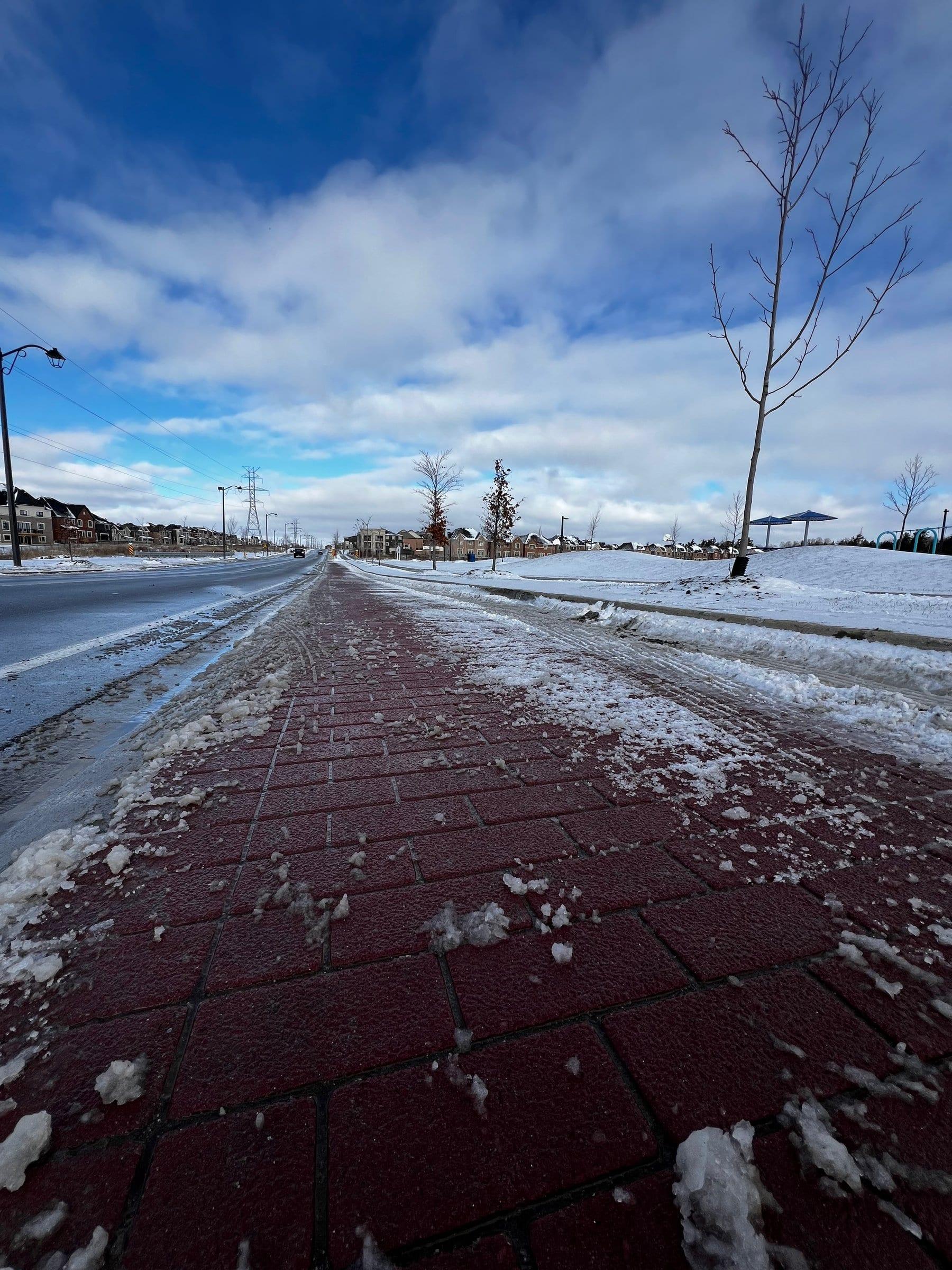 The Plow Came Through. The Pattern Stayed.