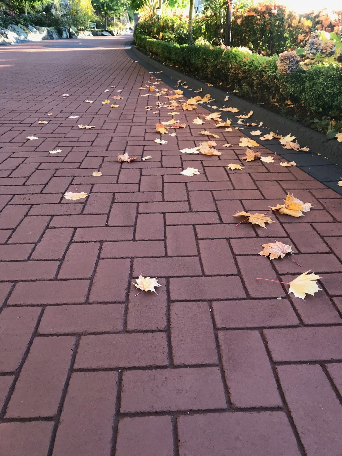 Lakefront property with charcoal herringbone stamped asphalt driveway