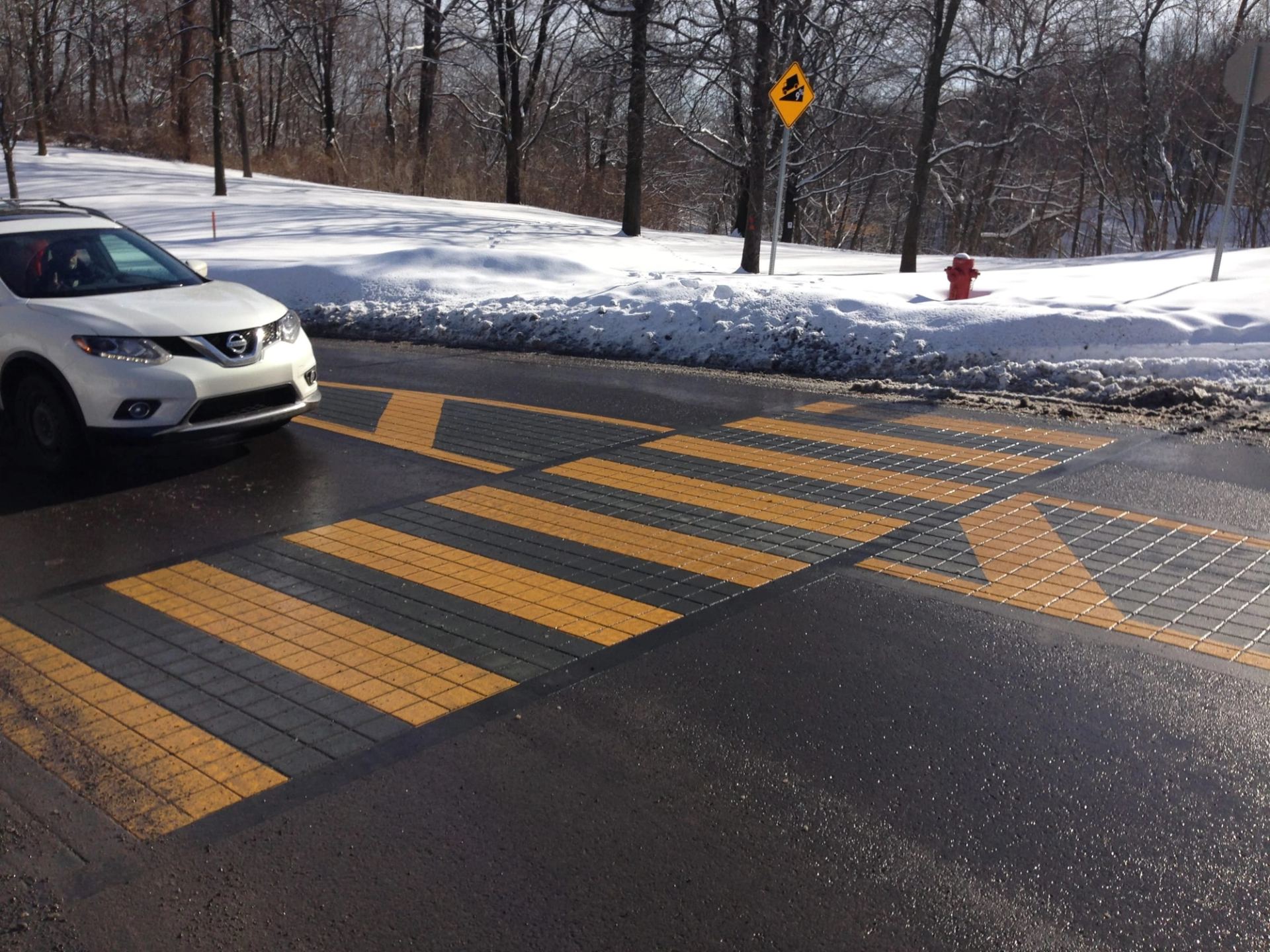 TrafficPatternsXD decorative crosswalk, photo 2 of 106