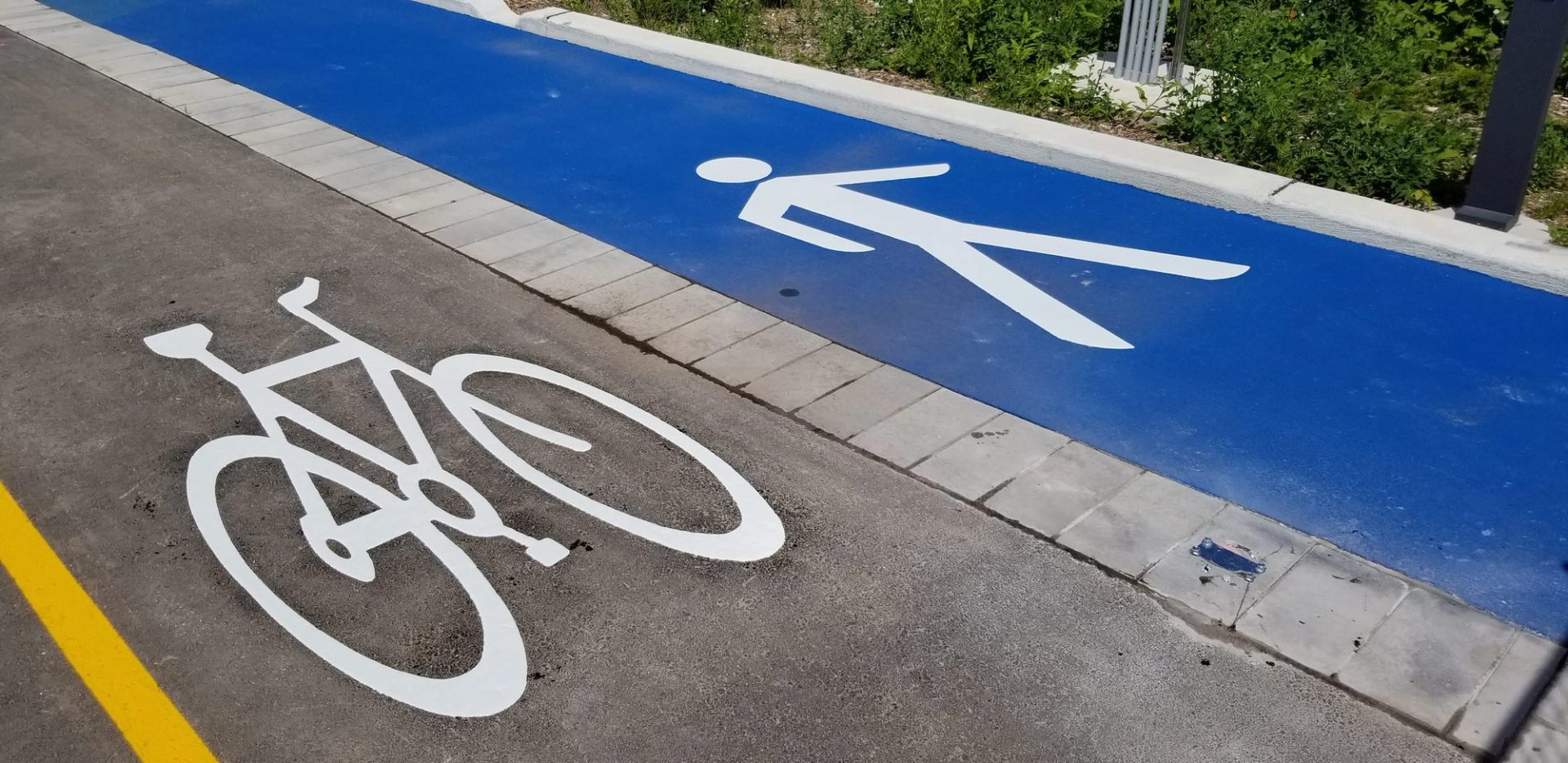 White bicycle symbol on a shared path beside a blue walking lane marked with a white pedestrian symbol