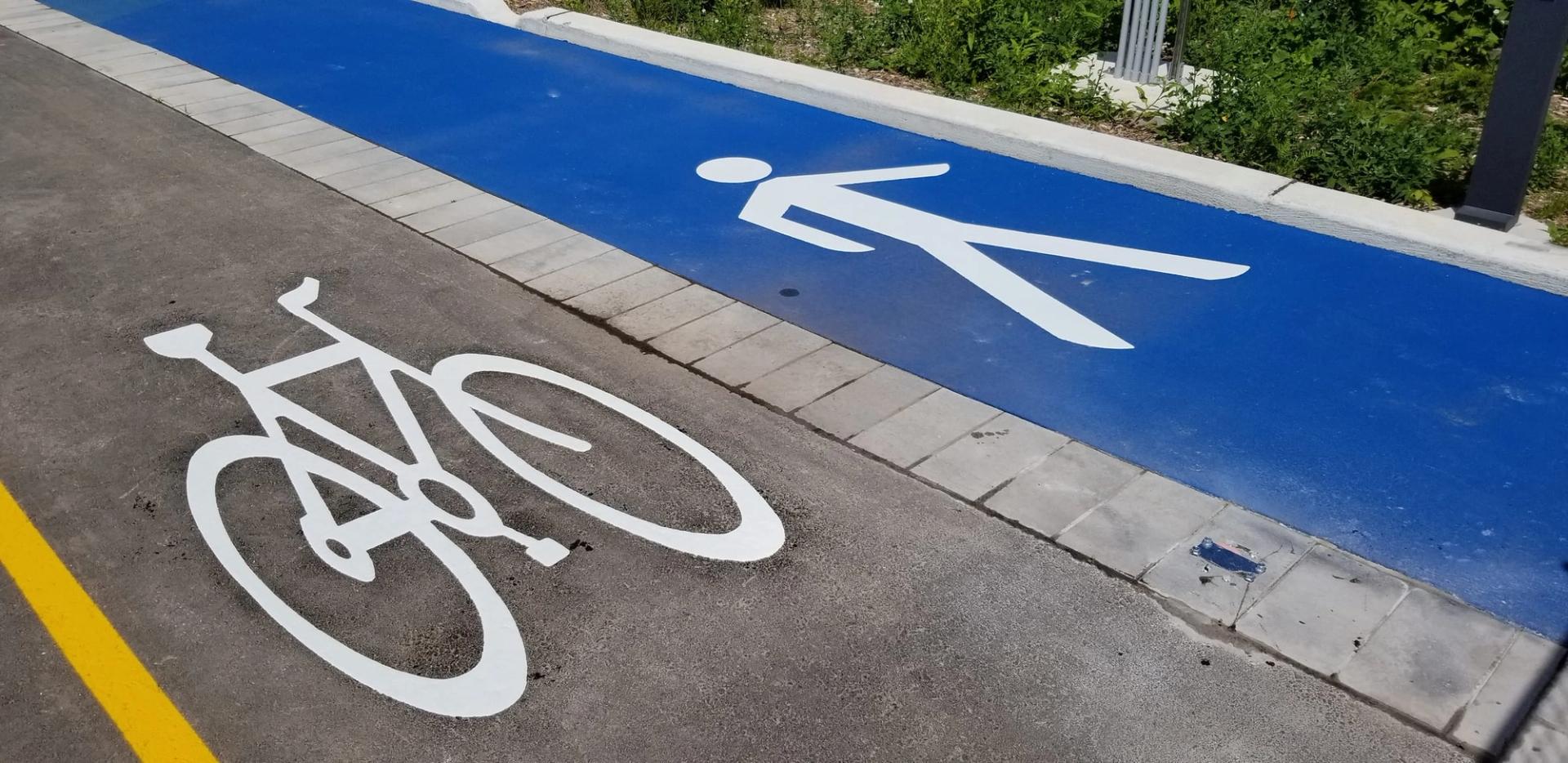 White bicycle symbol on a shared path beside a blue walking lane marked with a white pedestrian symbol