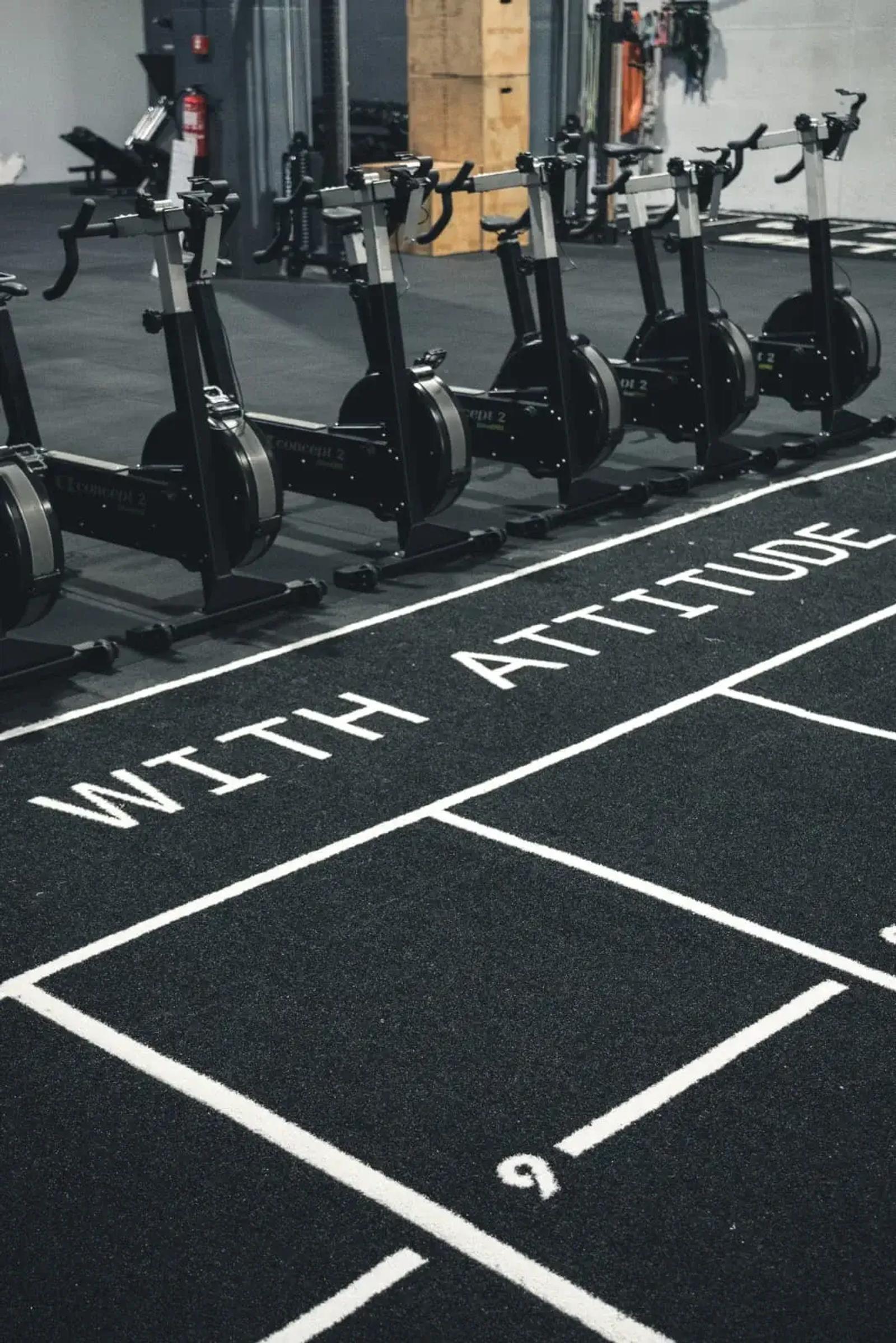 custom sled track with text for Testa Training