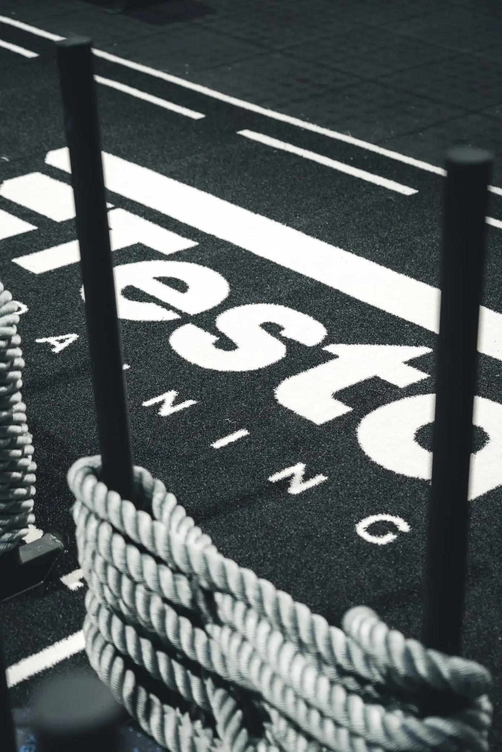 Testa training text and logo on sled track