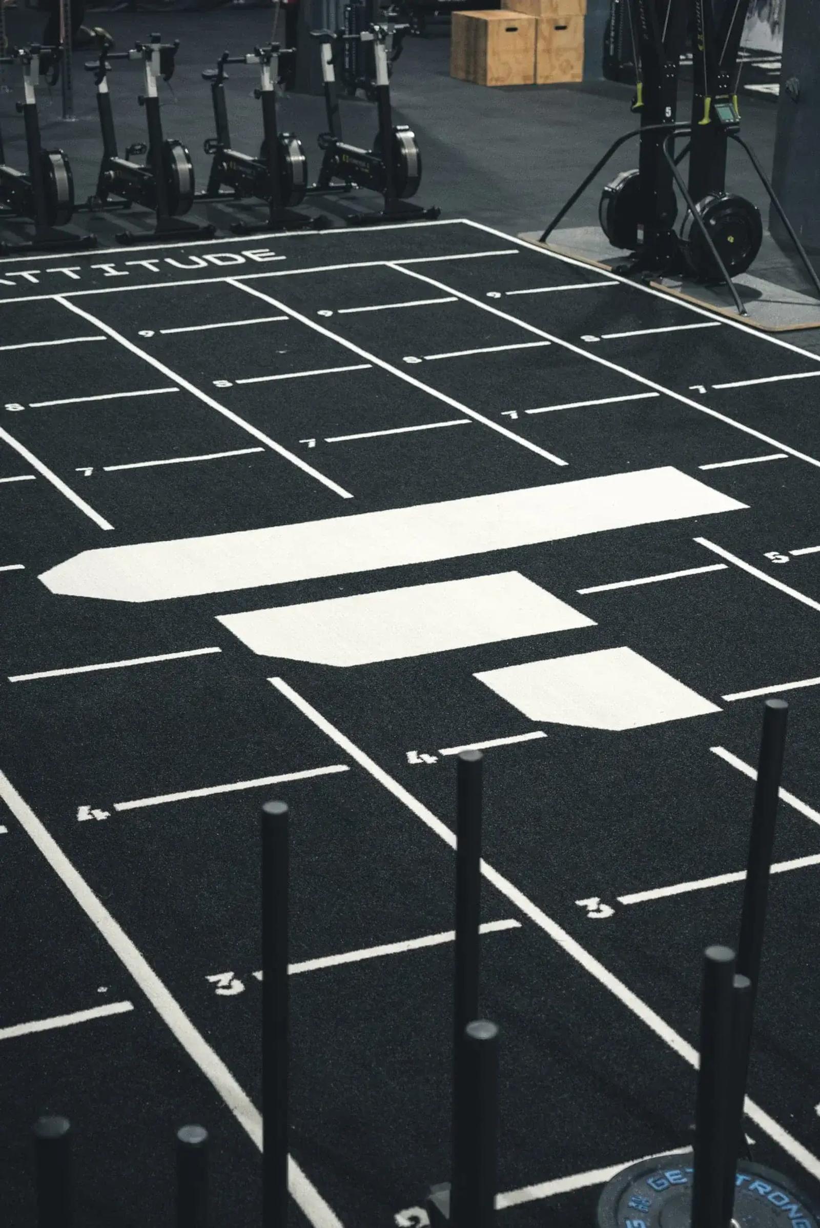 Testa Training Logo on Sled track