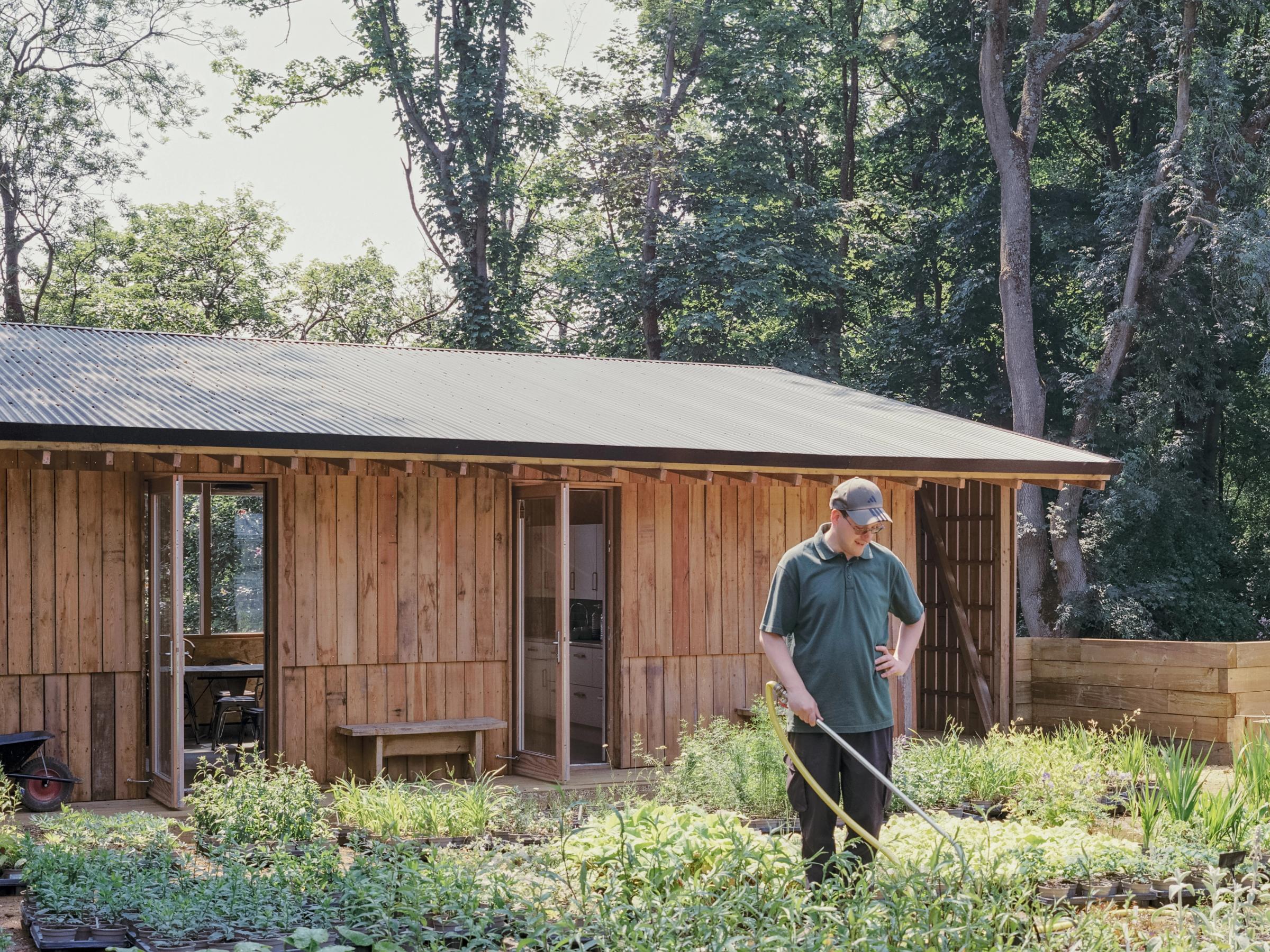 A Year of The Orchard Nursery, from Sunnyside's Horticultural Lead ...