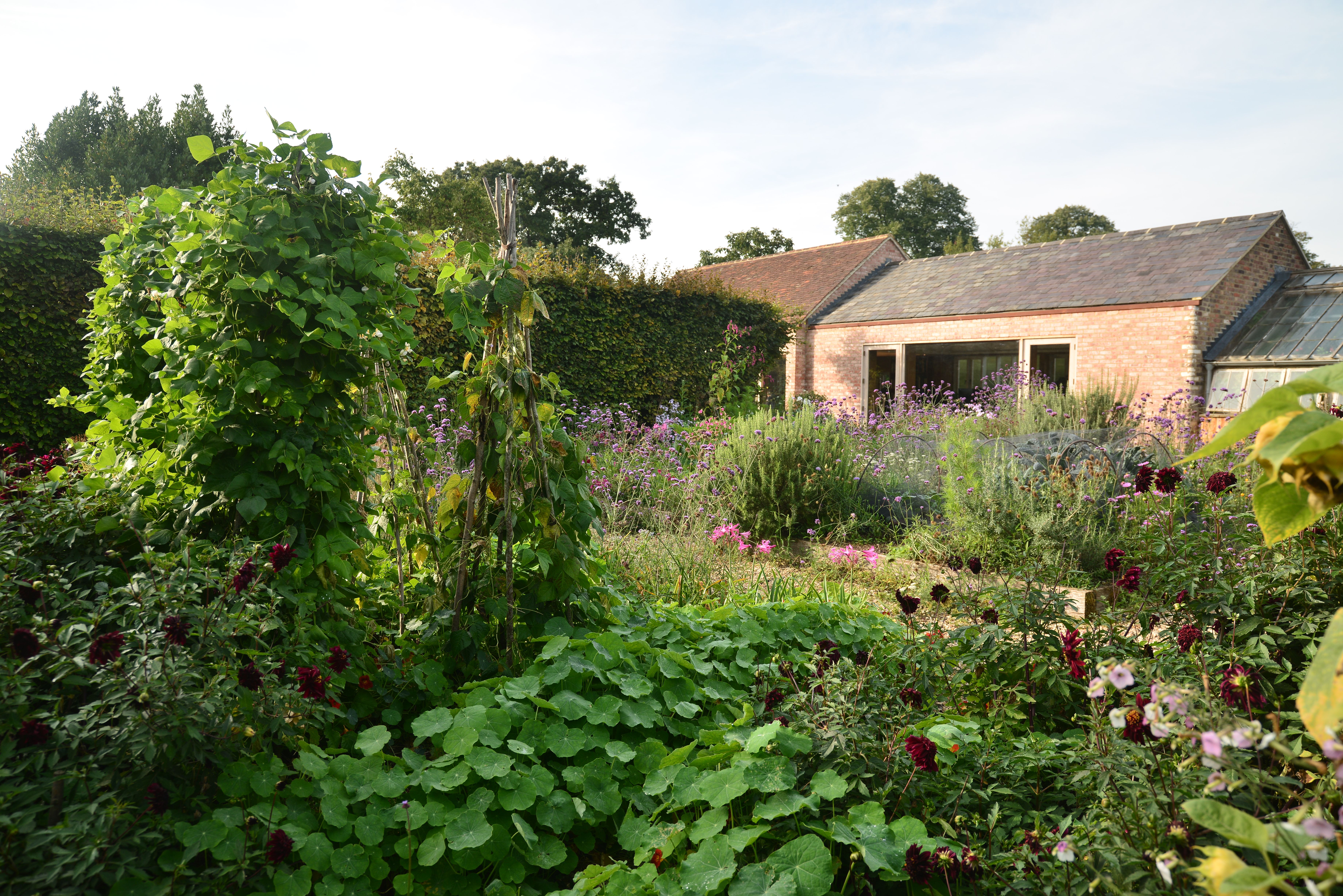 Plant Library And Barn Garden Visit Aug 2024 The Serge Hill Project   62952713d48a1dcc3b3e2eb1cd83df052037dd4b 7360x4912 