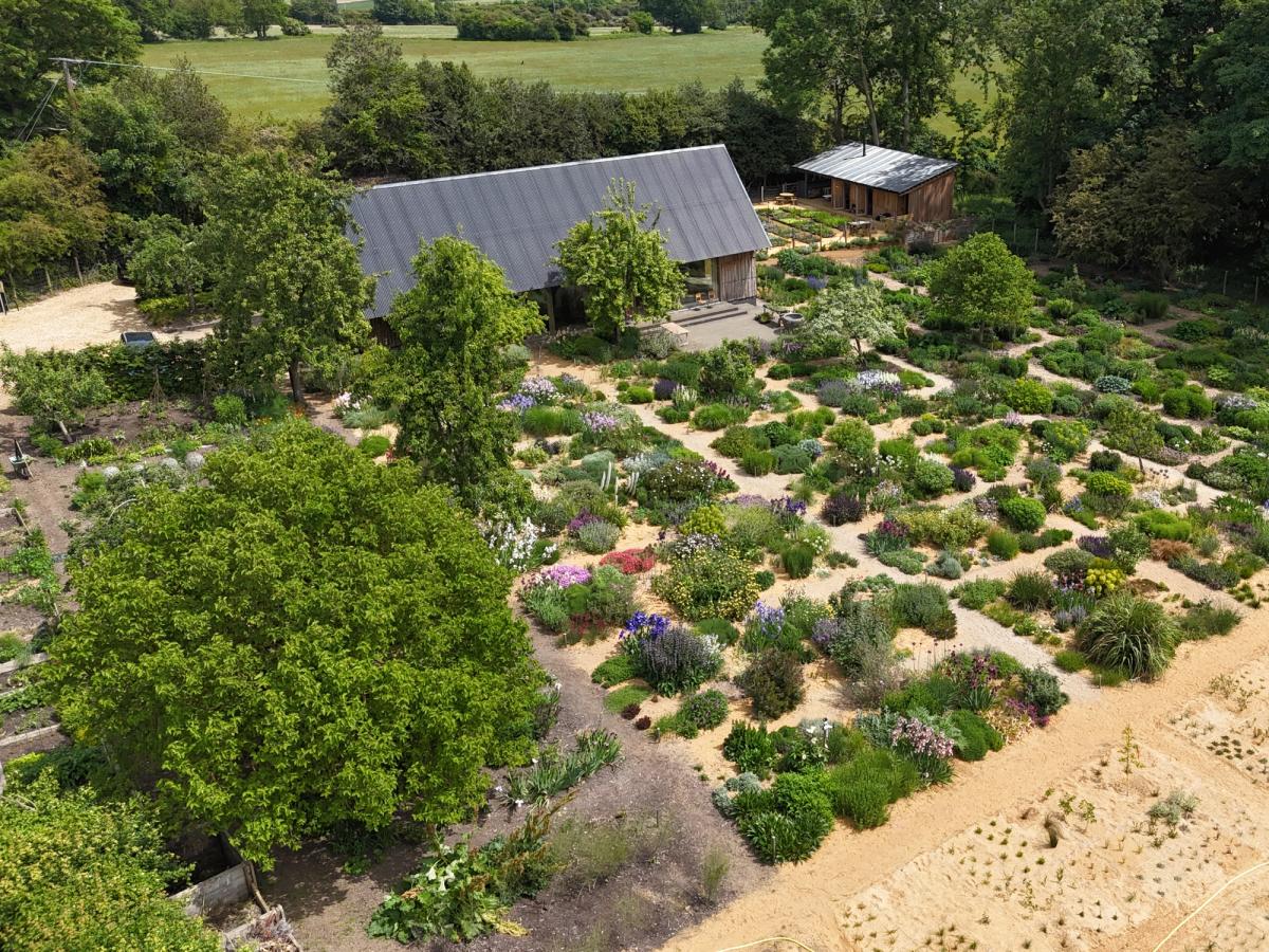 Working With Drought: Planting For Changing Climates hosted by Tom ...