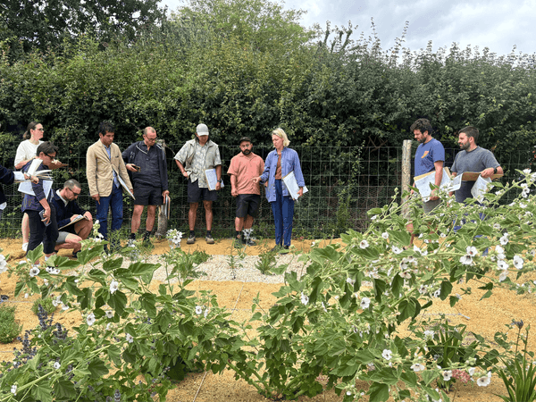 Planting Design Course at The Plant Library & Barn Garden with Tom ...