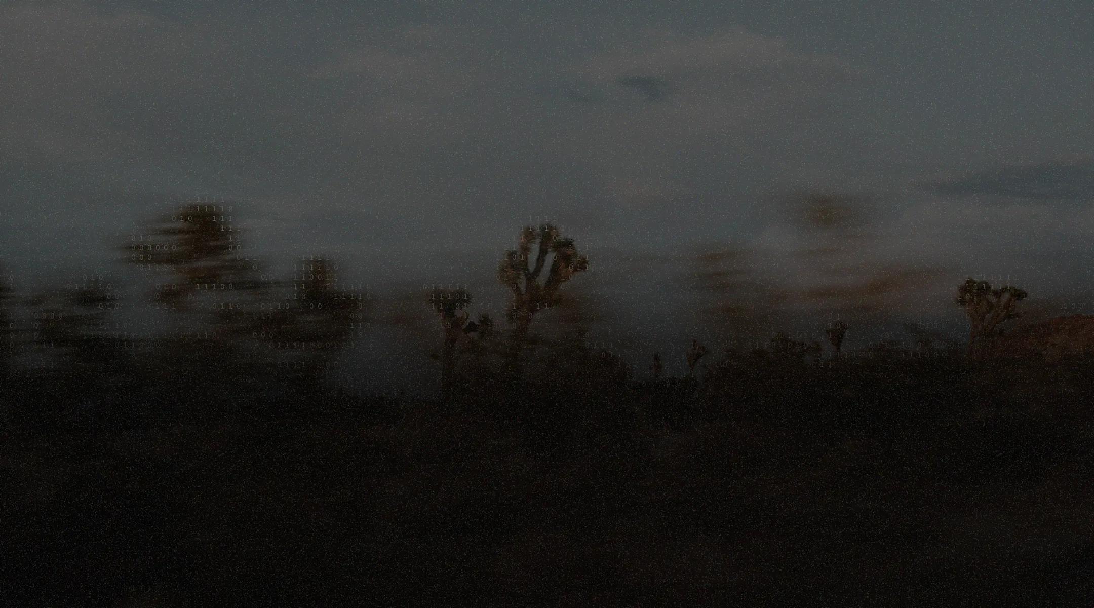 Dark, blurry desert landscape at dusk with silhouetted Joshua trees against a dim, cloudy sky