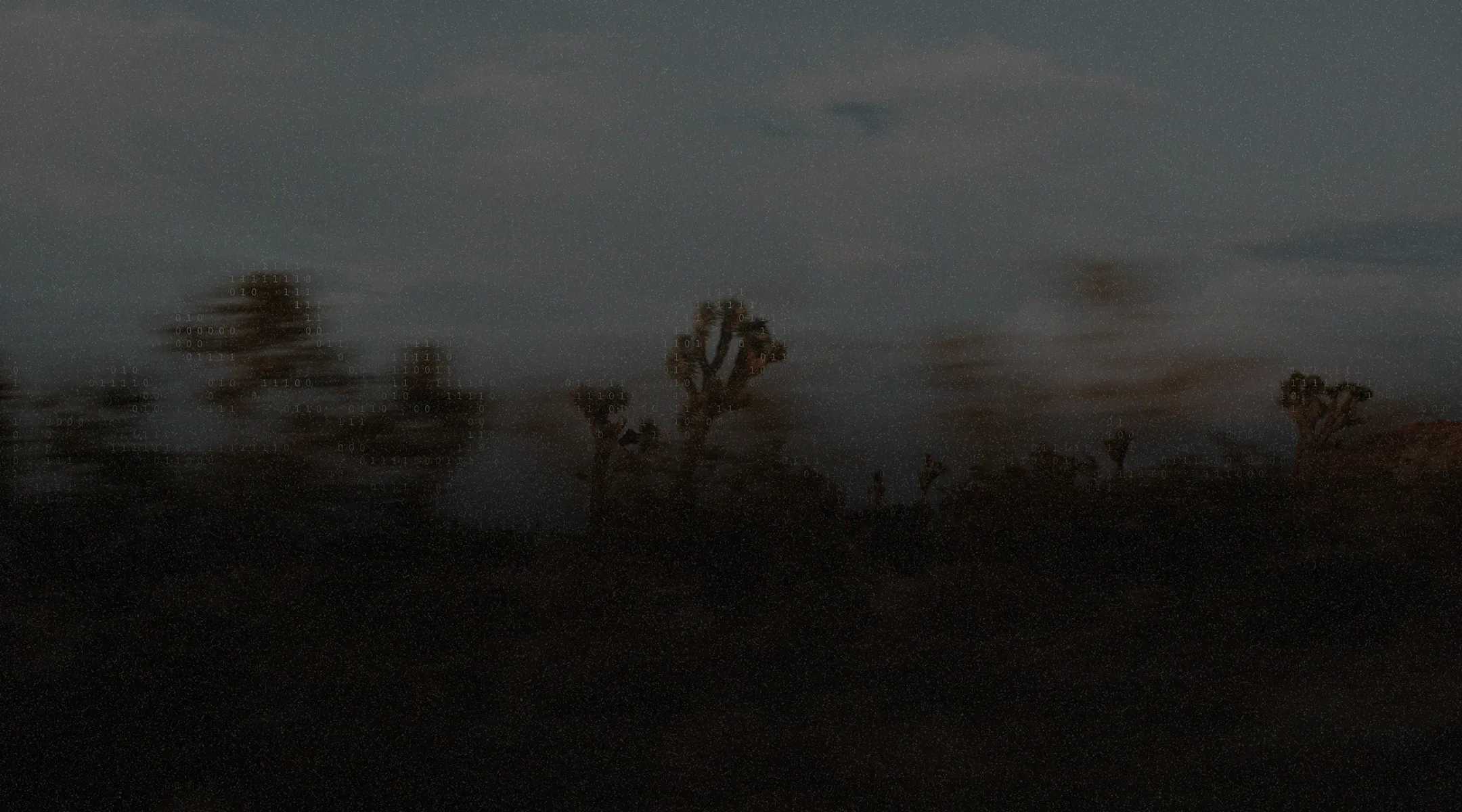 Dark, blurry desert landscape at dusk with silhouetted Joshua trees against a dim, cloudy sky