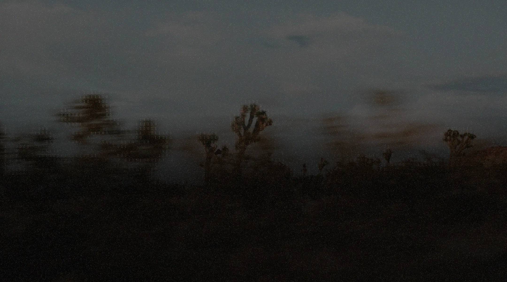 Dark, blurry desert landscape at dusk with silhouetted Joshua trees against a dim, cloudy sky