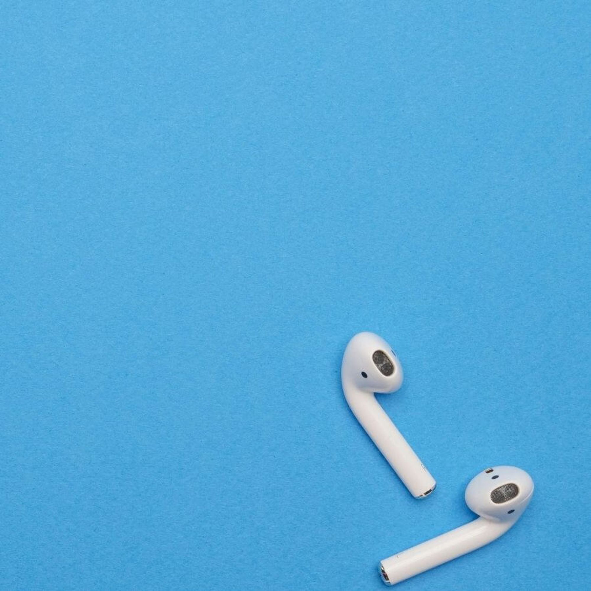 Short Form Sounds Antfood