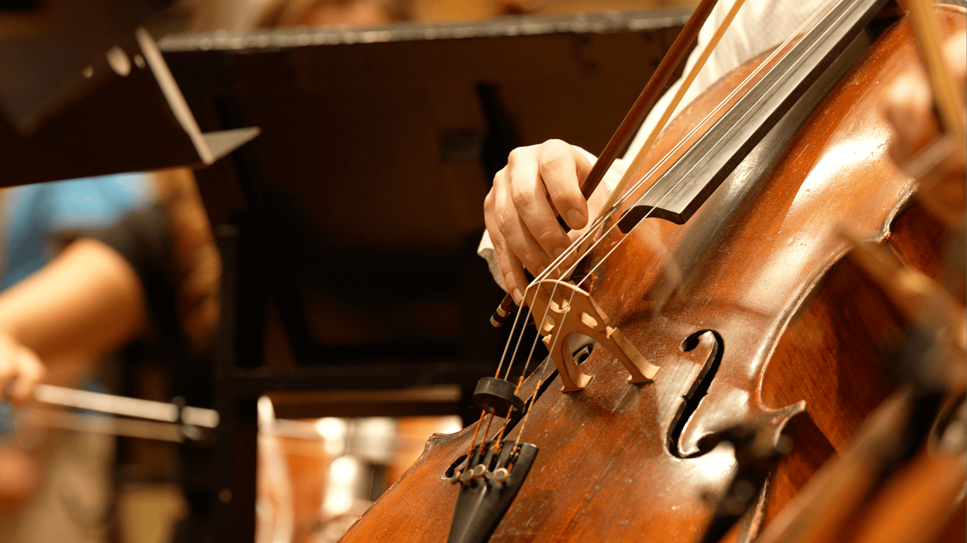 Netflix Animation Studios_Antfood_Orchestra BTS_Still.4